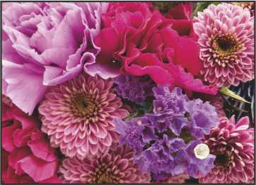 LR18 Landscape Greeting Card, pack of 5