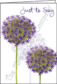 Ref: 08a ALIUM (Just to Say)