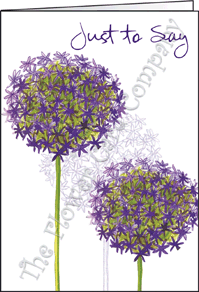 Ref: N108d ALIUM (Just to Say)