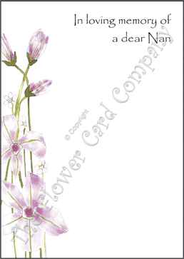 Ref: NF01r CLEMATIS (Nan)