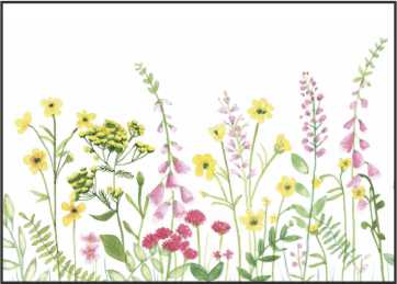 LR148 Landscape Greeting Card, pack of 5