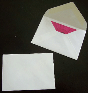 WHITE FLORIST ENVELOPES - 70x110mm