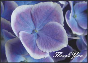 LR01t Landscape Greeting Card, pack of 5