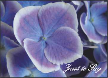 LR01j Landscape Greeting Card, pack of 5