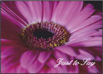 LR04j Landscape Greeting Card, pack of 5