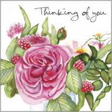 LS150b Large Greetings Card - pack of 5