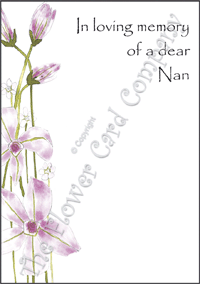 Ref: F01d CLEMATIS (Nan)