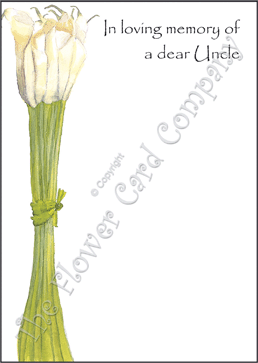 NF02u ARUM BUNCHED (Uncle)