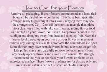 FLOWER CARE CARD - Large size