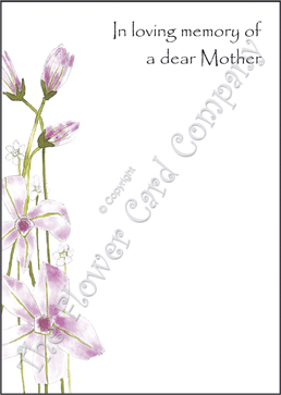 Ref: NF01g CLEMATIS (Mother)