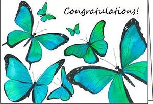 Ref: N123h AQUA BUTTERFLIES (Congratulations)