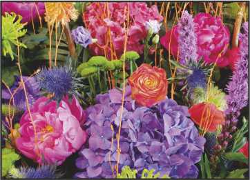 LR15 Landscape Greeting Card, pack of 5