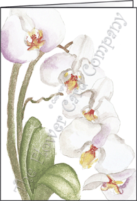 Ref: 59 WITH LOVE ORCHIDS (no text)