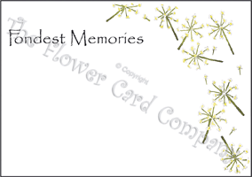 Ref: F14 FALLING SEED HEADS (Fondest Memories)