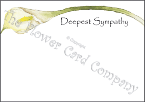 Ref: F16 SINGLE ARUM (Deepest Sympathy)