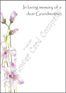 Ref: NF01n CLEMATIS (Grandmother)