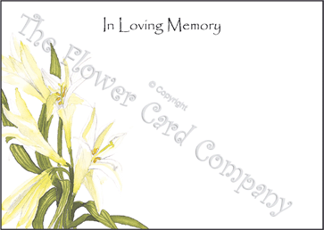 Ref: NF11a LONGI (In Loving Memory)