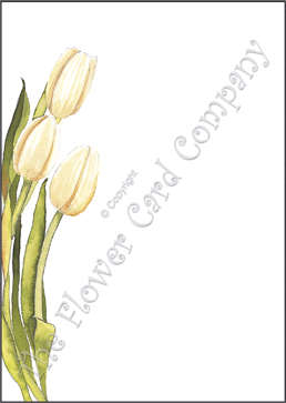 Ref: NF05 TULIP 