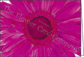 Ref: N103 PINK GERBERA