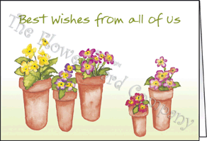 Ref: 60a TERRACOTTA POTS (Best Wishes from all of Us)