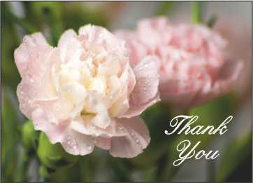 LR02t Landscape Greeting Card, pack of 5