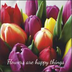 SS10s Small Gift/Greeting Card, pack of 5