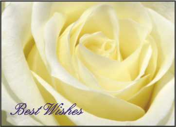 LR13b  Landscape Greeting Card, pack of 5