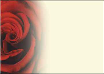 Ref: PF68 CREAM BACKGROUND WITH RED ROSE
