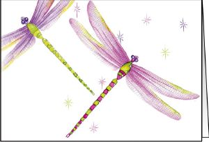 Ref: N149 DRAGONFLY 