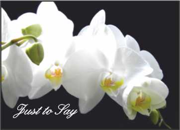 LR03j Landscape Greeting Card, pack of 5