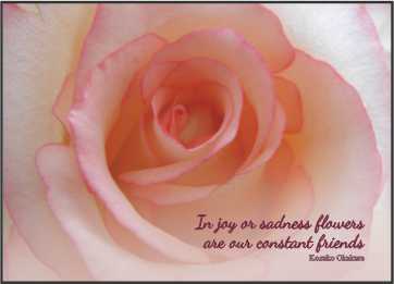 LR12s Landscape Greeting Card, pack of 5