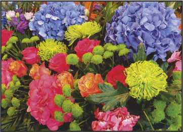 LR16 Landscape Greeting Card, pack of 5