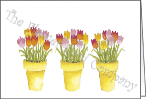 Ref: N138 TULIP POTS 