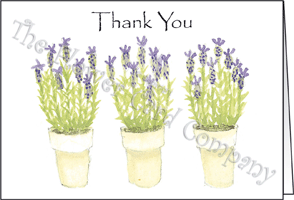 Ref: N139c LAVENDER POTS (Thank You)