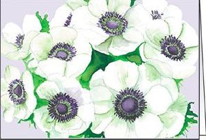 Ref: N121 WHITE ANEMONES 