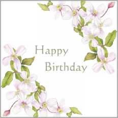 LS21a Large Greetings Card - pack of 5