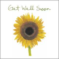 LS114g Large Greetings Card - pack of 5