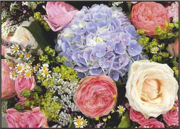 LR17 Landscape Greeting Card, pack of 5
