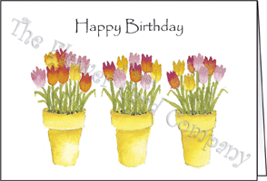 Ref: N138a TULIP POTS (Happy Birthday)