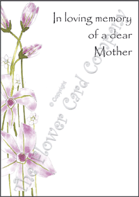 Ref: F01b CLEMATIS (Mother)