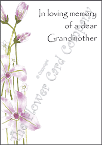 Ref: F01a CLEMATIS (Grandmother)